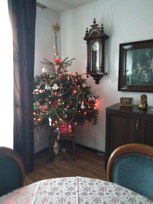 Choinki naszych Czytelników. Taki klimat tylko w woj. lubelskim!