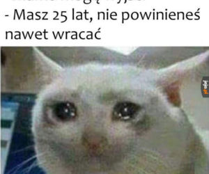 Dzień Kota 2020