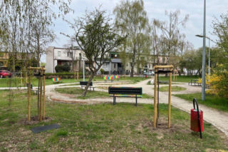 Więcej drzew w Lesznie