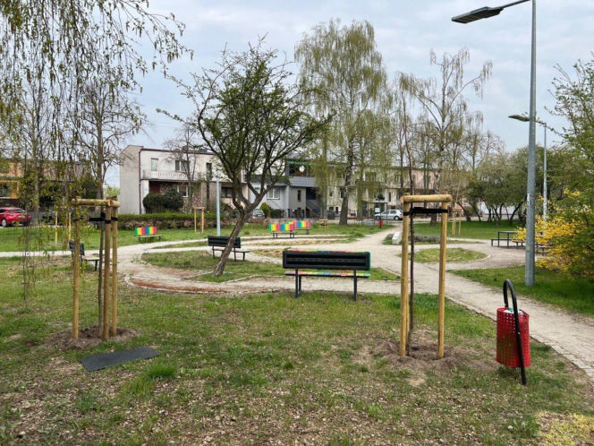 Więcej drzew w Lesznie