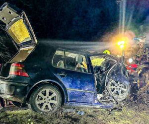 Na zakręcie pojechali prosto, ze sobą wieźli dwa duże psy. Czy któryś z nich ugryzł kierowcę?