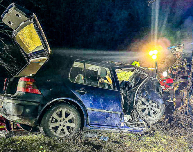 Na zakręcie pojechali prosto, ze sobą wieźli dwa duże psy. Czy któryś z nich ugryzł kierowcę?