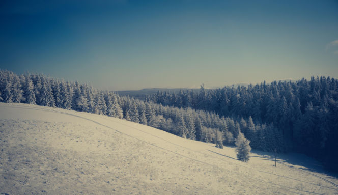 Sezon narciarski wystartował w Zieleńcu na dobre