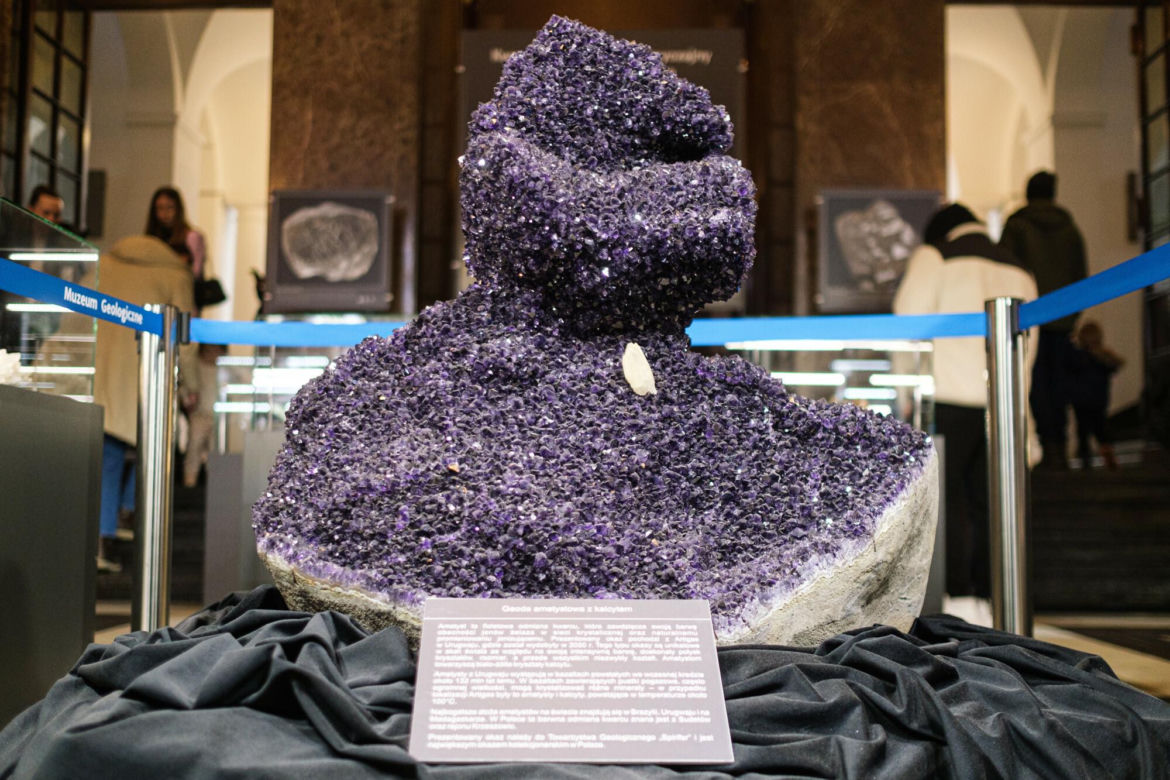 W tym warszawskim muzeum zrobisz sobie selfie z dinozaurem. Wstęp nic nie kosztuje!