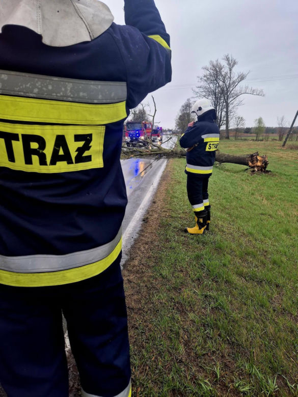 Interwencje Strażaków przy likwidacji szkód spowodowanych przez gwałtowny wiatr i burze