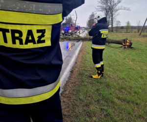 Interwencje Strażaków przy likwidacji szkód spowodowanych przez gwałtowny wiatr i burze