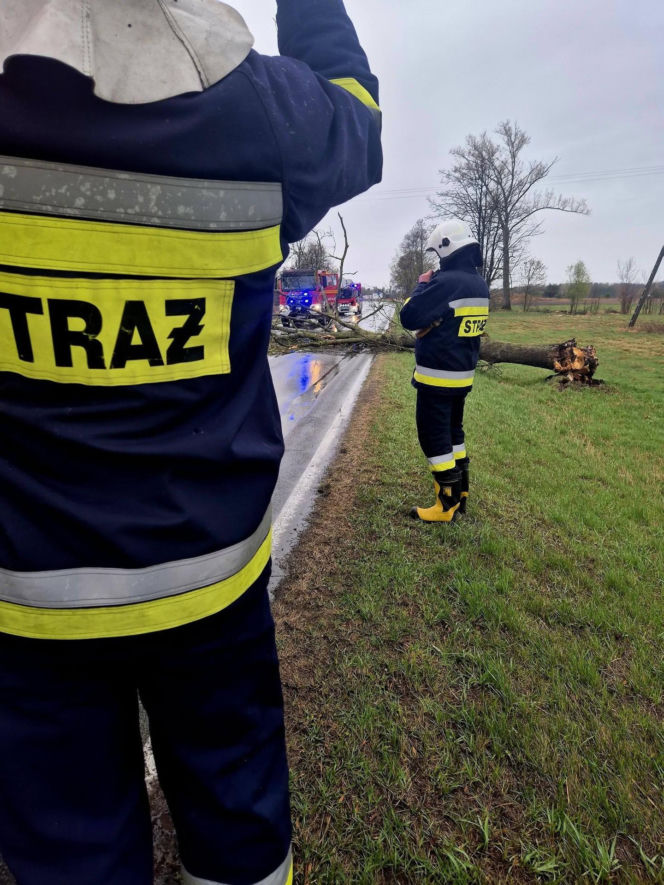 Interwencje Strażaków przy likwidacji szkód spowodowanych przez gwałtowny wiatr i burze