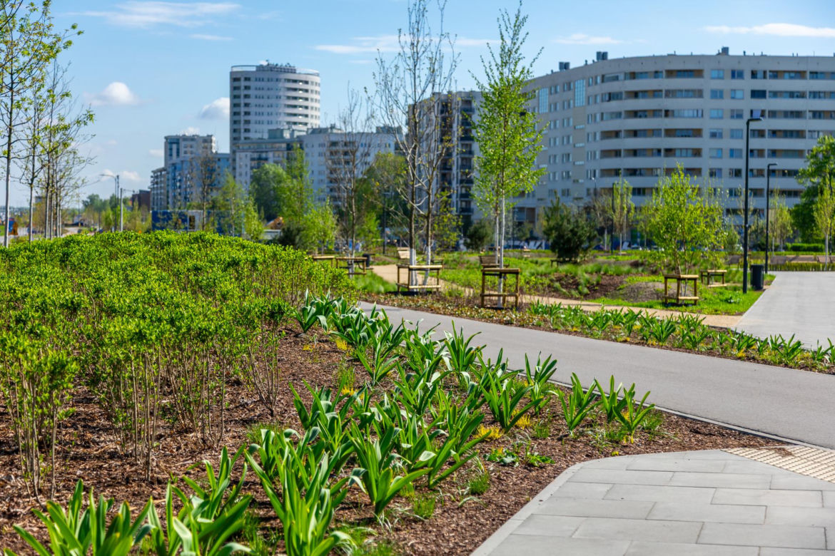 Park nad Południową Obwodnicą Warszawy na Ursynowie