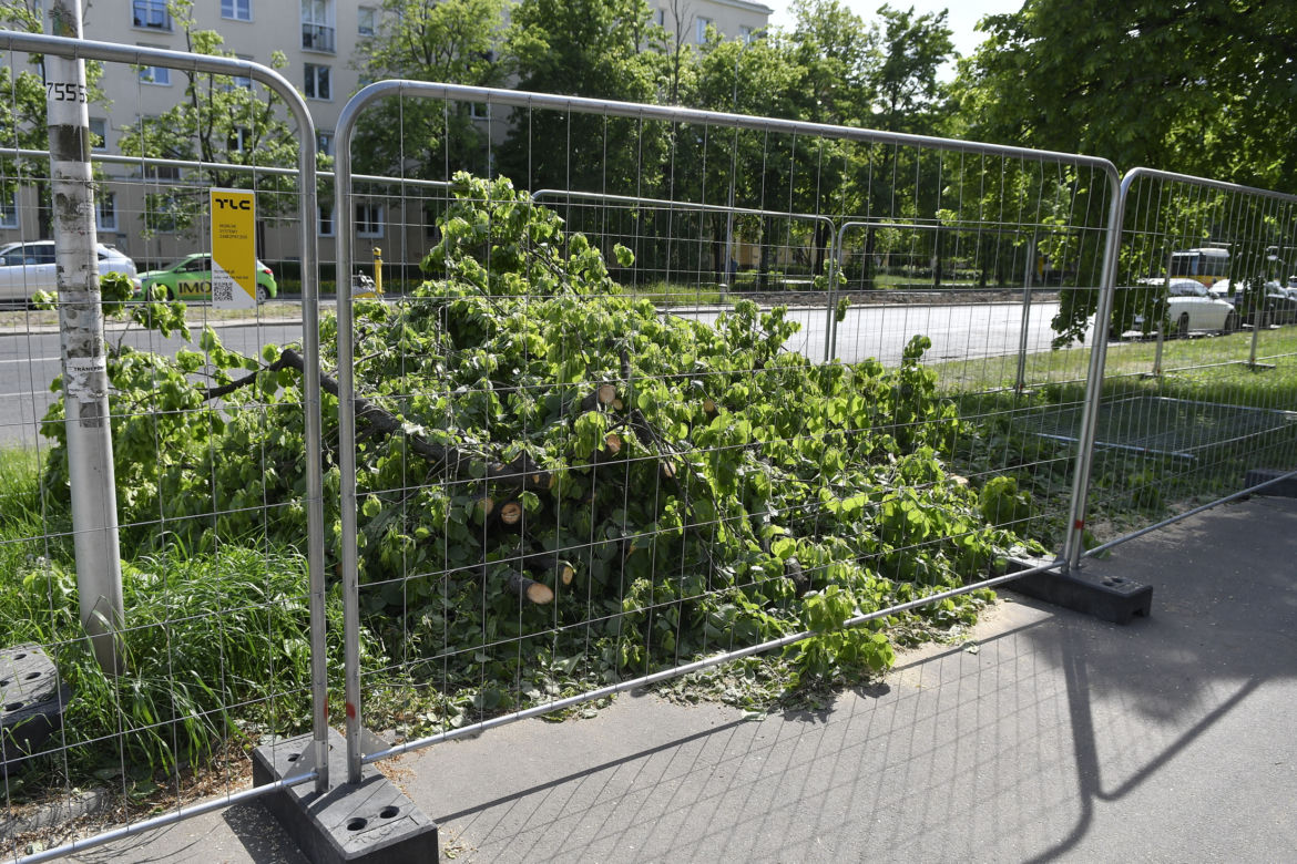 Wycinka drzew na Mokotowie. Mieszkańcy zbulwersowani, tramwajarze uspokajają