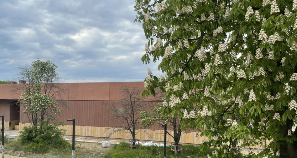 Muzeum Historii Polski i Muzeum Wojska Polskiego