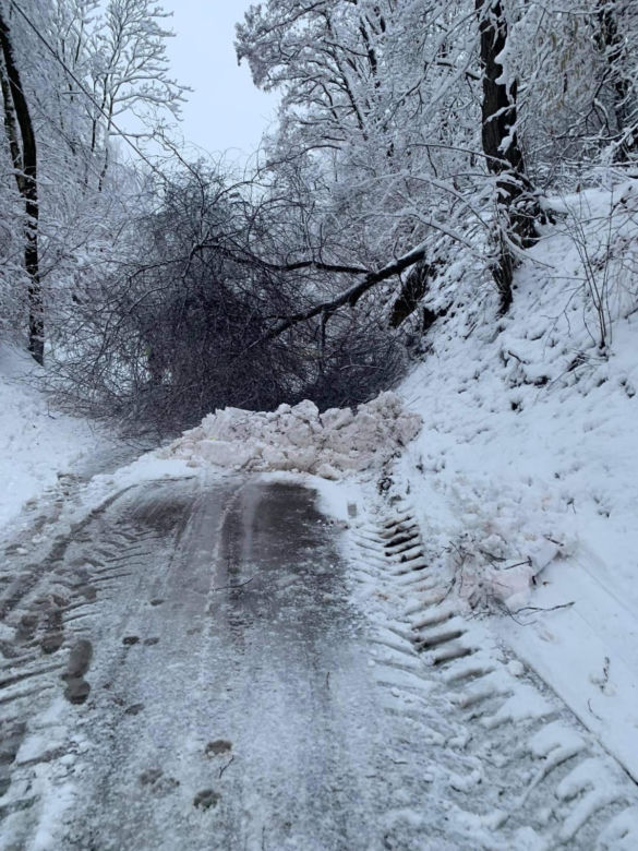 Ponad 300 interwencji strażaków w Tarnowie i regionie