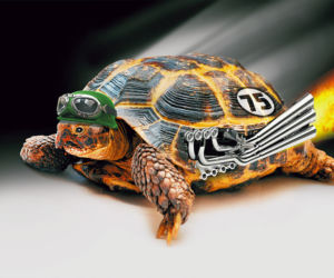 Turbo żółw! Zwiał właścicielce. Znaleźli go 30 kilometrów dalej...