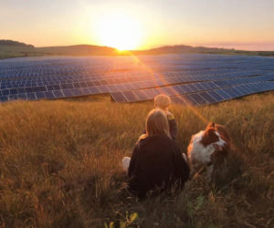 Czy to jest Twoja Struga