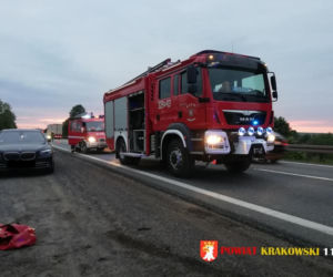 Tragiczny wypadek na trasie Kraków-Olkusz. Ciężarówka śmiertelnie potrąciła pieszego