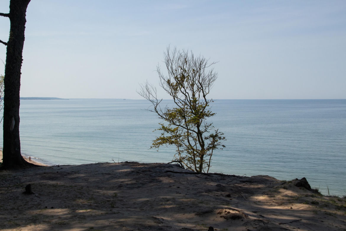Plaża w Poddąbiu