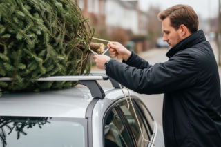 Przewóz choinki autem. Co musisz wiedzieć przed świętami?