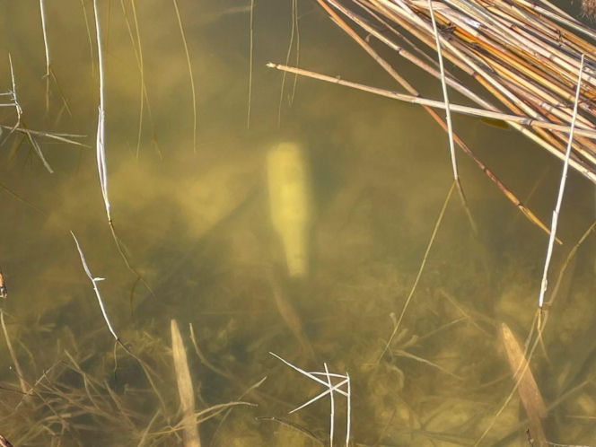 Siedleccy wędkarze chcą posprzątać okolice zalewu. Pomożecie?