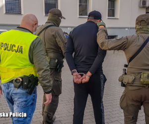 Zielona Góra. Doprowadzili do straty 24 mln zł! Domniemani gangsterzy na wolności [ZDJĘCIA]