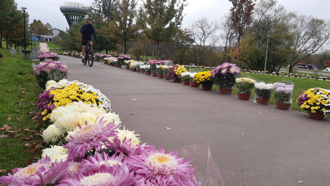 Dwa tysiące chryzantem ozdobiło park w Tarnowie