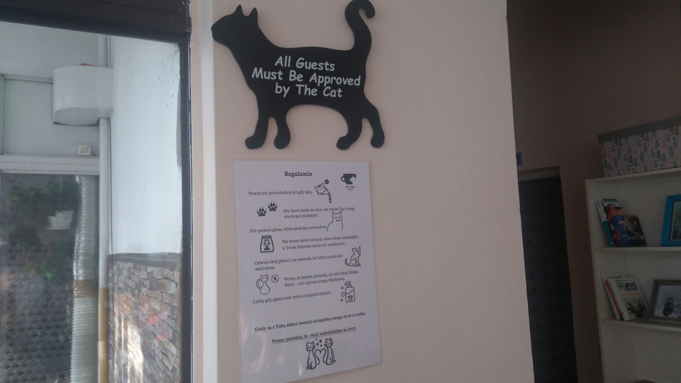 Kot Cafe
