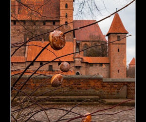Pierwszy dzień wiosny 2022 w MEMACH