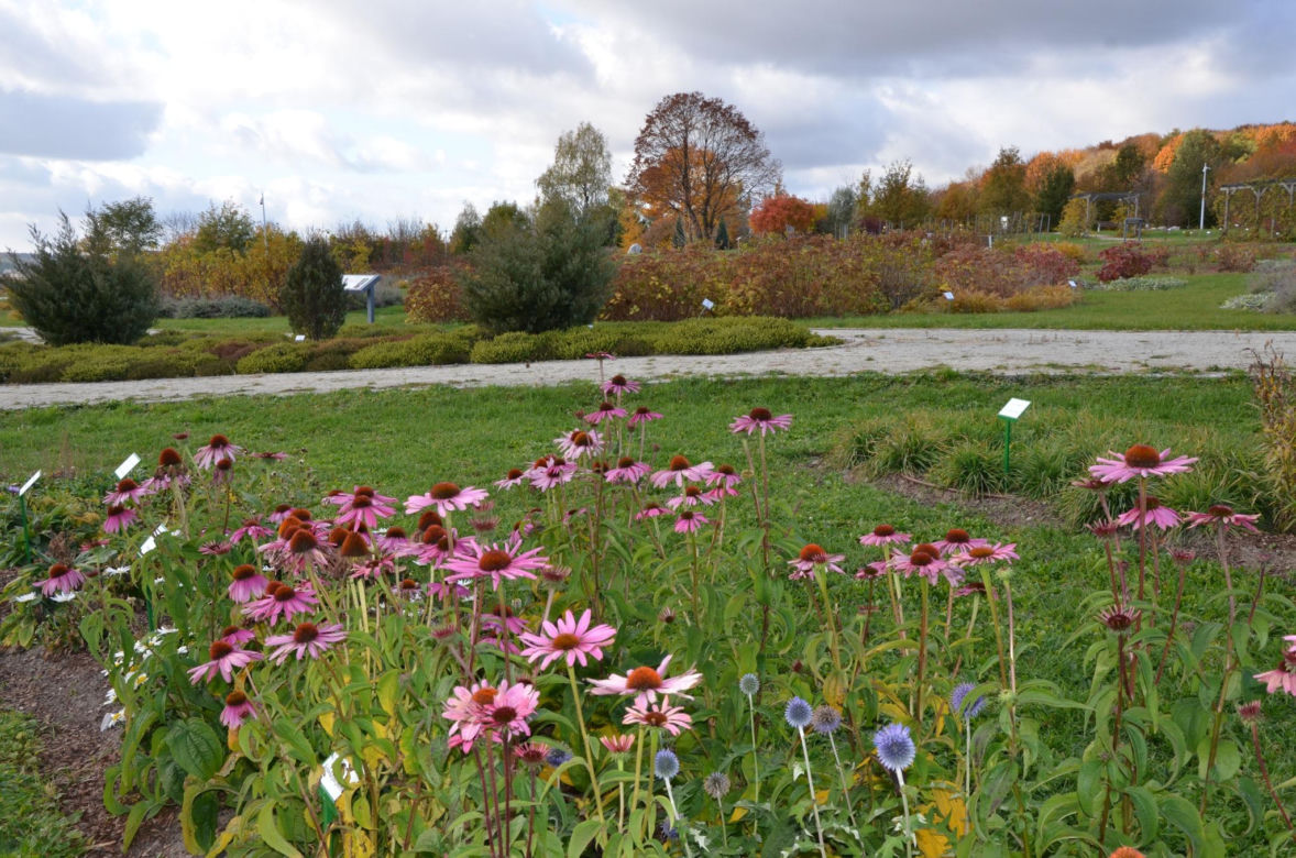 Ogród Botaniczny w Kielcach przed sezonem 2025