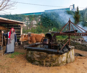 Największa żywa szopka bożonarodzeniowa w Europie