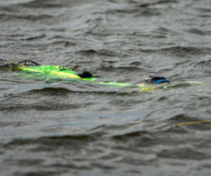 Polska „Pirania” po pierwszej misji