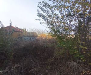 teren po Goplanie i ul. Królowej Jadwigi