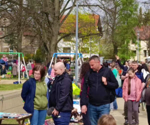 Pchli targ na Pogodnie