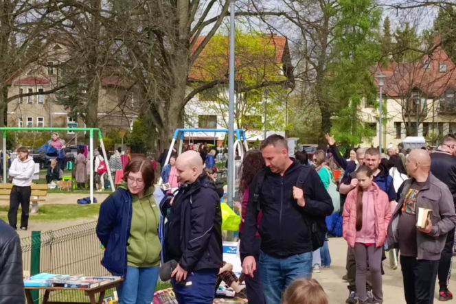 Pchli targ na Pogodnie