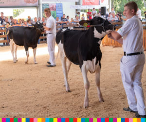 Targi rolnicze w Szepietowie 2019