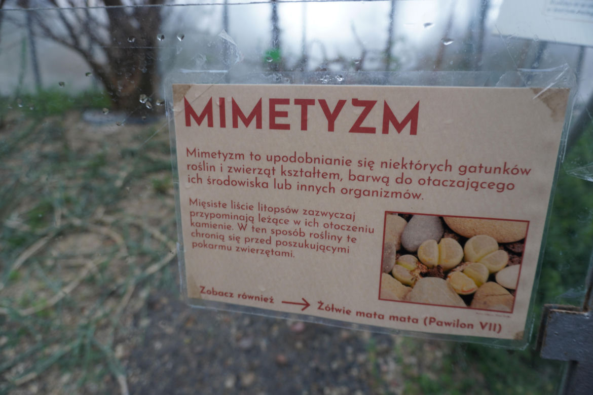 Palmiarnia w Poznaniu