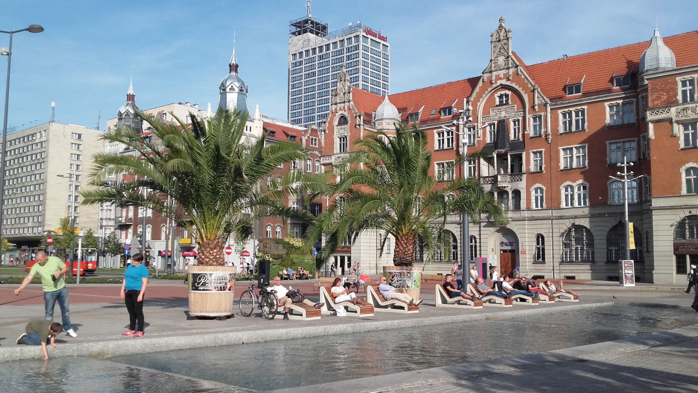 Katowice, Rynek, Rawa, Palmy