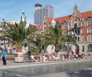Katowice, Rynek, Rawa, Palmy