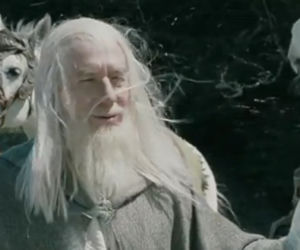 Koń Władca Pierścienia