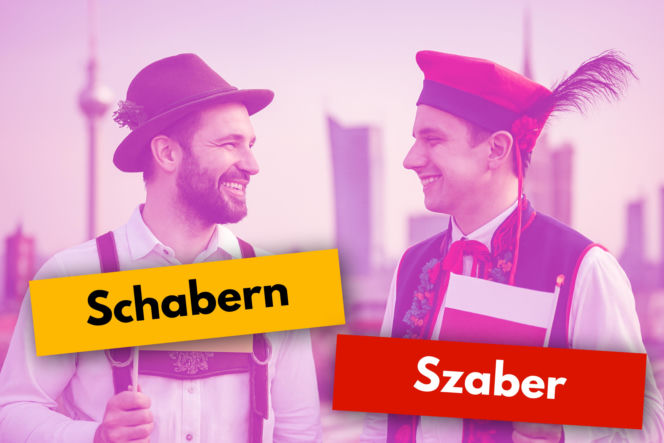 Szaber 