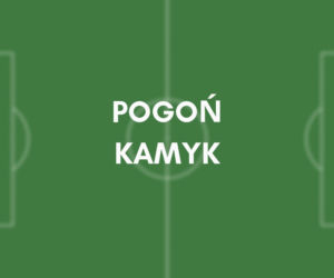 Pogoń Kamyk