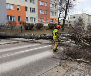 Szkody po Orkanie Eunice. Zrywało dachy, wyrywało grube drzewa, brakowało prądu