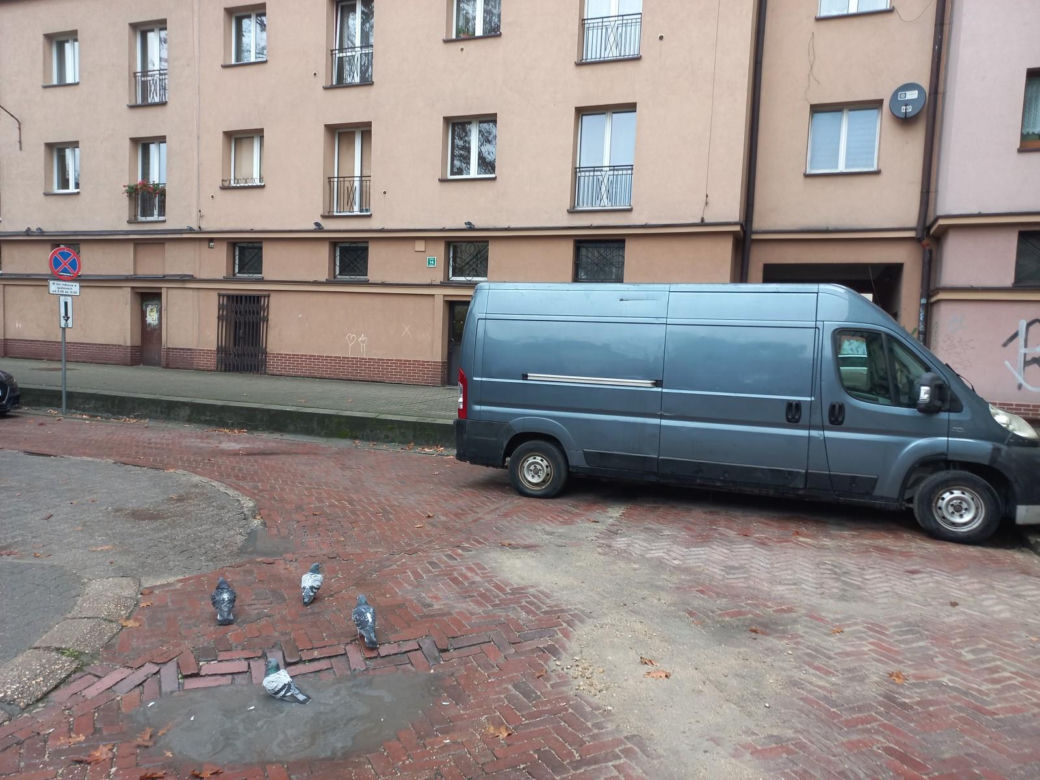 Tak parkują "miszczowie parkowania" z Katowic. Strażnicy miejscy rozkładają ręce 