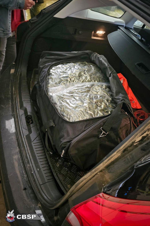 Marihuana była nawet w wannie i pralce! Służby zatrzymały gang narkotykowy