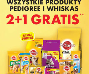 Biedronka - SZALONE promocje w nowym roku!  Kiełbasa i kosmetyki za 1 zł, parówki za DARMO!