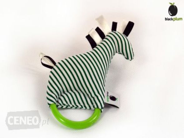 Black Plum grzechotka radosna zebra