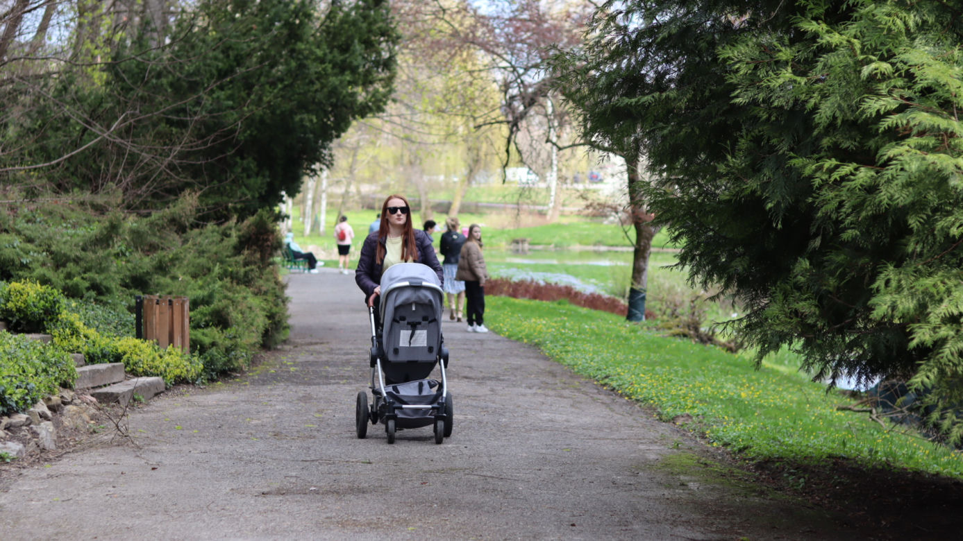Ogród Botaniczny w Lublinie otwarty! Wszędzie widać wiosnę