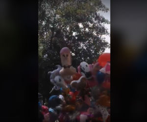 Balonowy penis na odpuście parafialnym