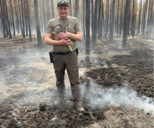 Uratowali z pożaru koźlę sarny