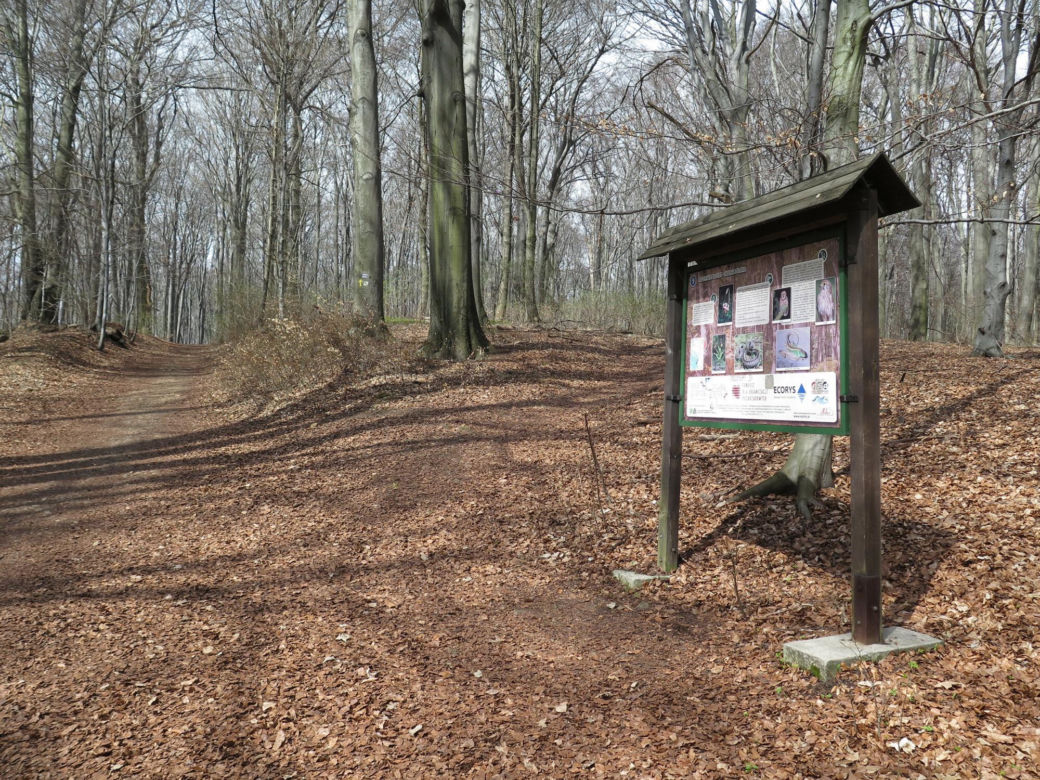 Rezerwat Segiet udostępni nowe szlaki dla mieszkańców