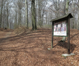 Rezerwat Segiet udostępni nowe szlaki dla mieszkańców