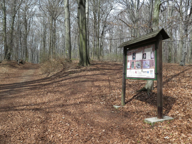 Rezerwat Segiet udostępni nowe szlaki dla mieszkańców