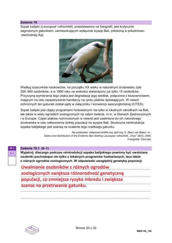 Matura 2025 biologia rozszerzona: ODPOWIEDZI do wszystkich zadań, gotowe rozwiązania matury z biologii rozszerzonej [9.05.2025]	